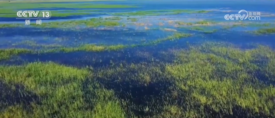 半岛网址各地采取多项措施推进湿地保护与发