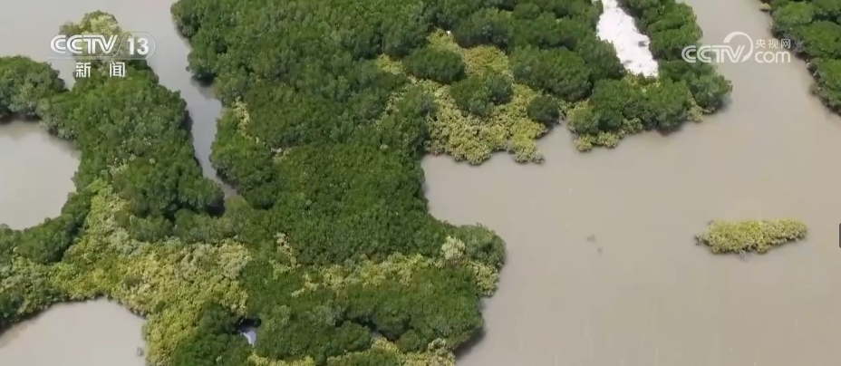 半岛网址各地采取多项措施推进湿地保护与发展 生态保护修复成效显著(图8)