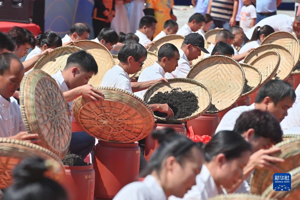 广西梧州举办六堡茶文化节和宝石节