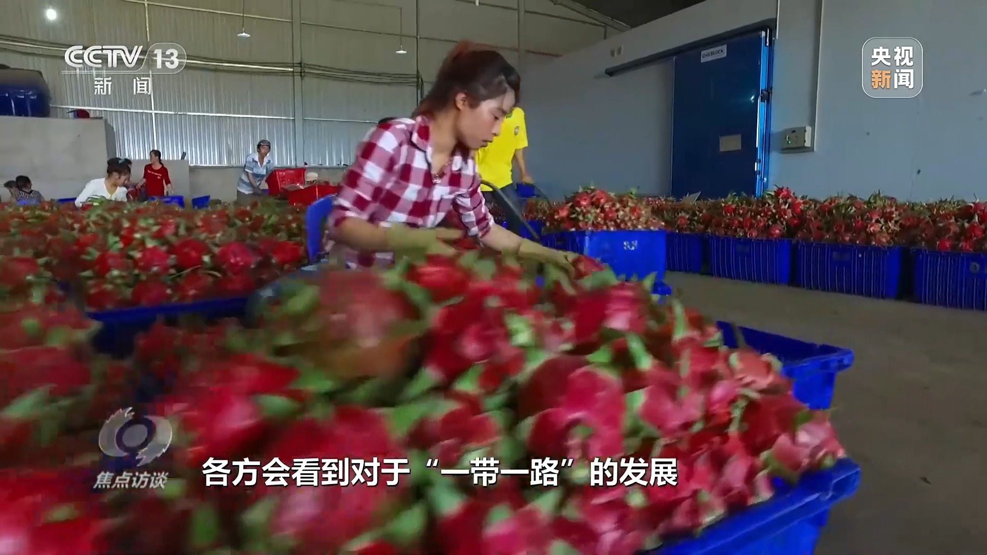 携手奔向下一个“金色十年” 为高质量共建“一带一路”提供中国方案