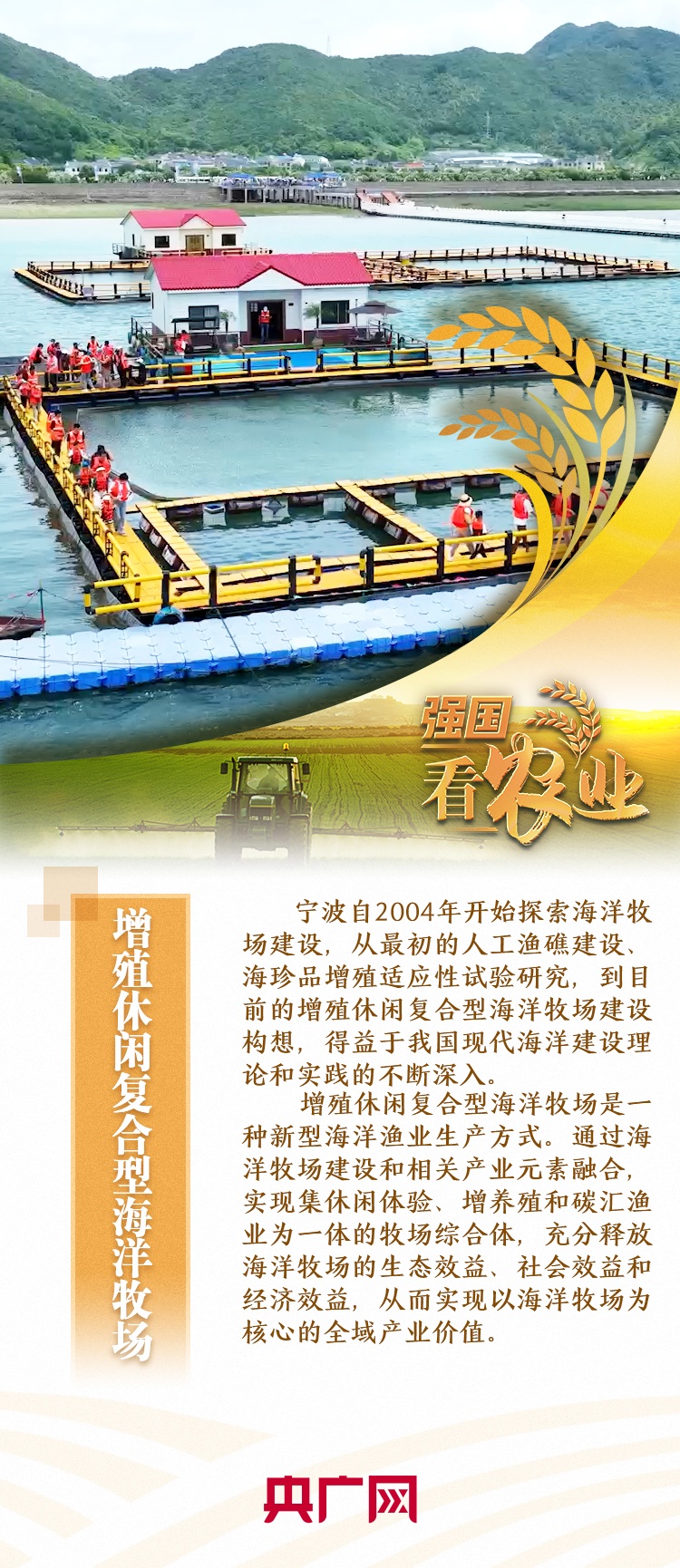 【强国看农业】深耕海洋牧场 夯实“蓝色粮仓”