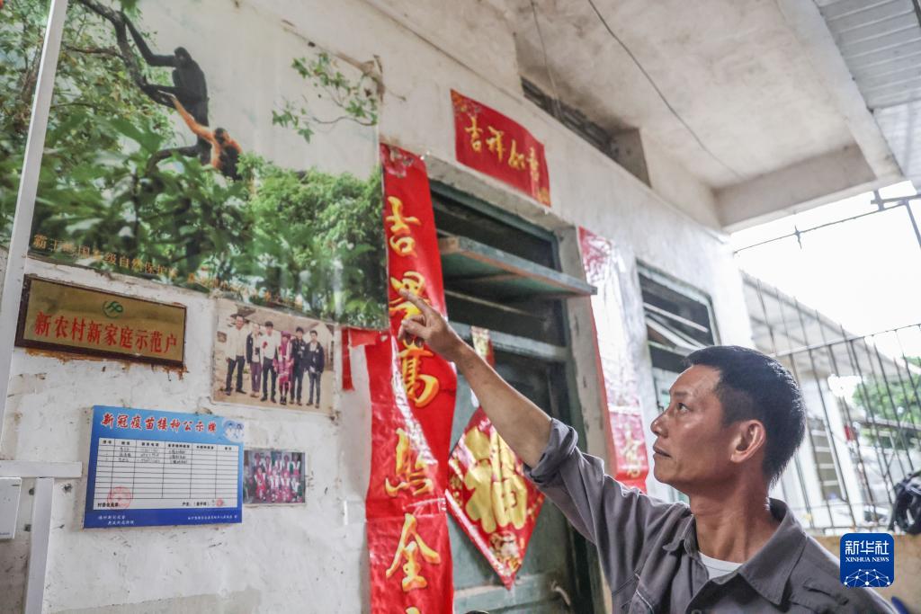 海南长臂猿的成长记录者