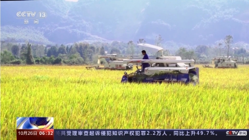 又是一年丰收时 填满“米袋子”“菜篮子”“果盘子”