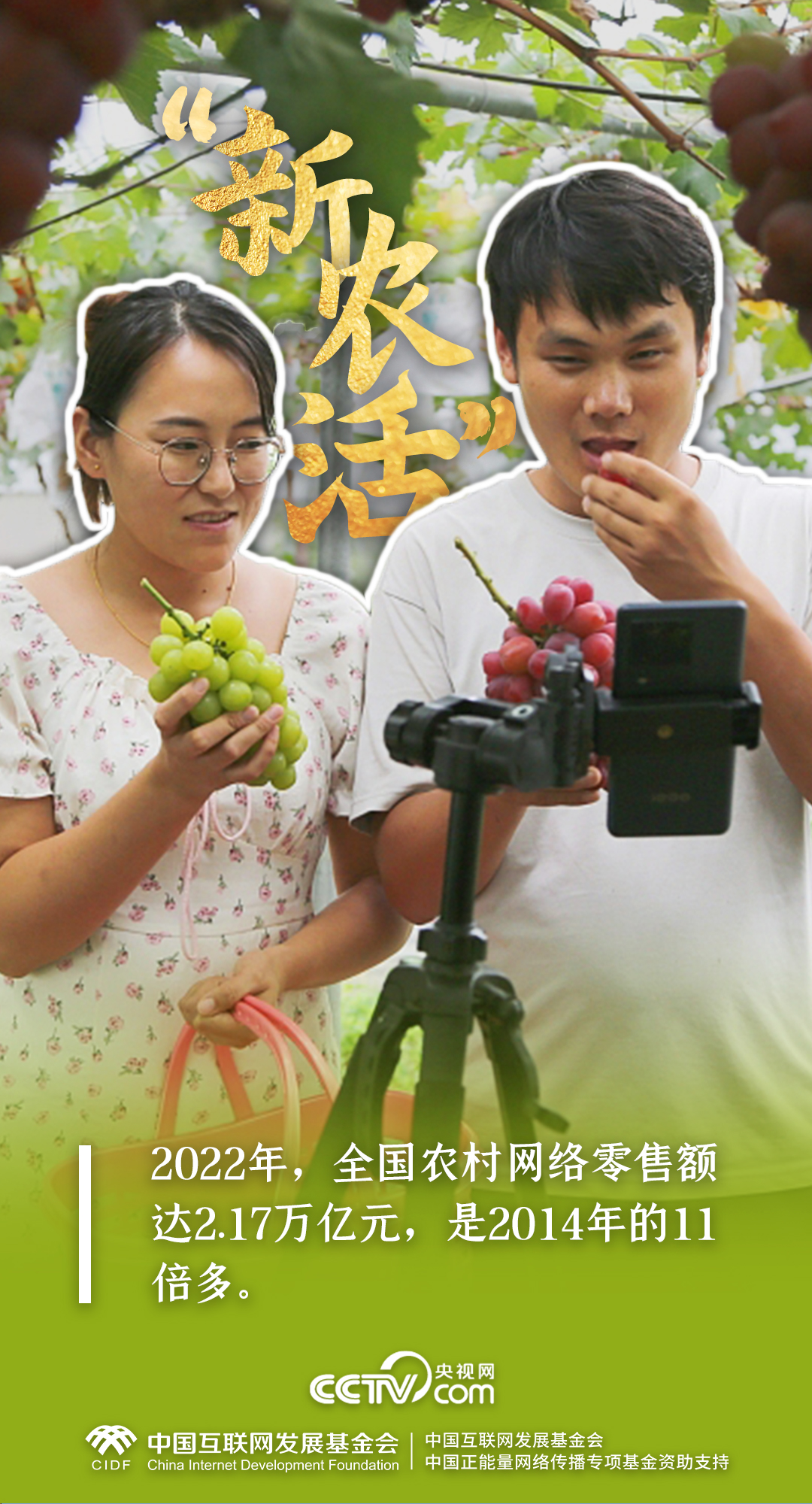 最美新农人|一组数据,解码端稳“中国饭碗”的乡村振兴生力军