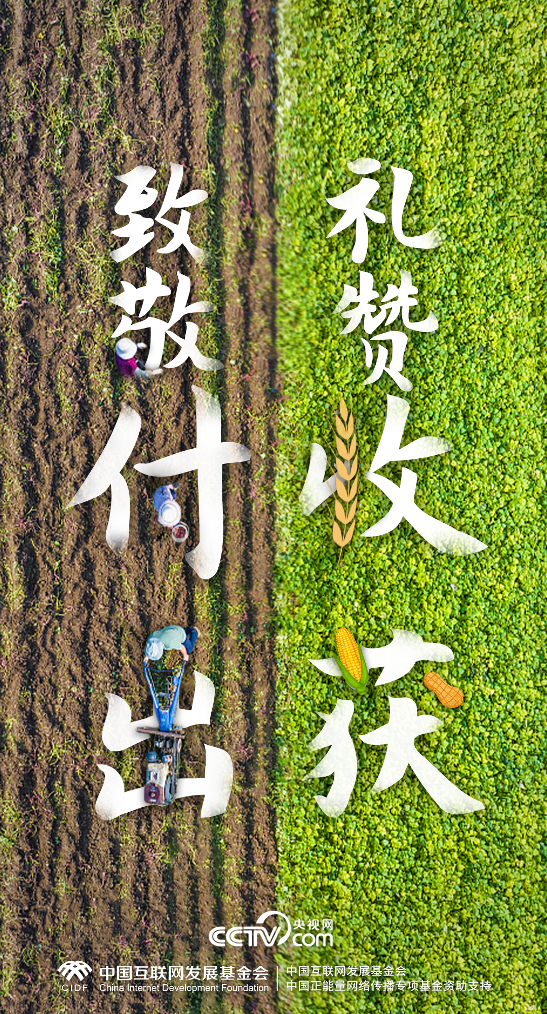 最美新农人|一组数据,解码端稳“中国饭碗”的乡村振兴生力军