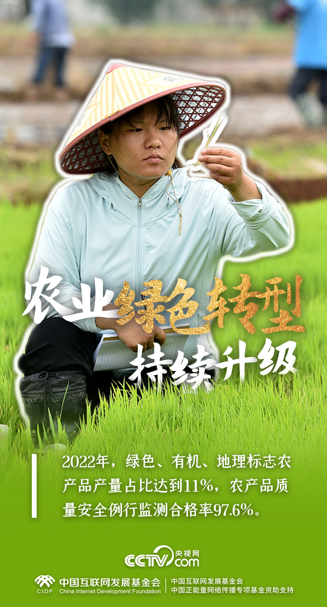 最美新农人|一组数据,解码端稳“中国饭碗”的乡村振兴生力军