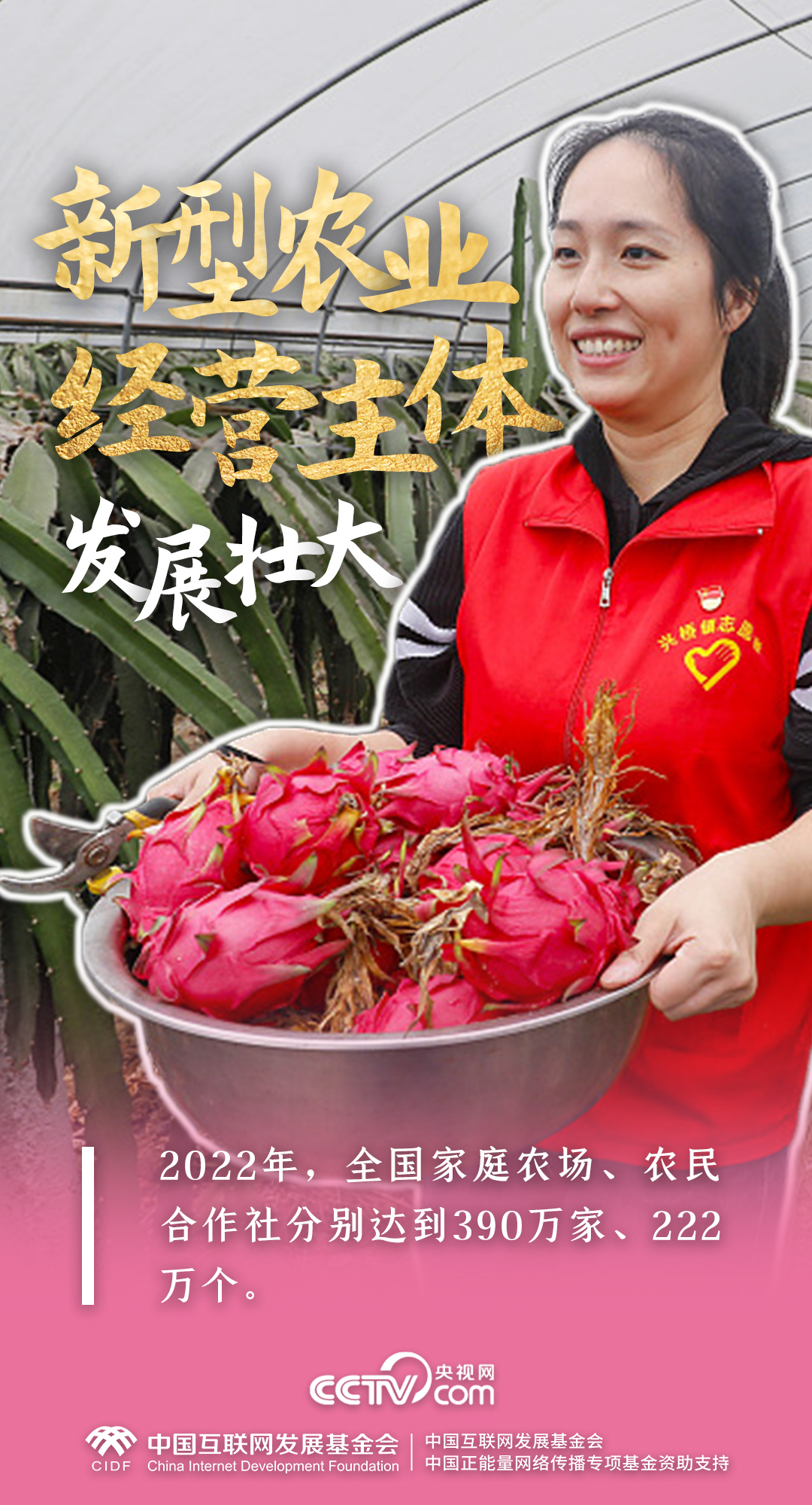 最美新农人|一组数据,解码端稳“中国饭碗”的乡村振兴生力军