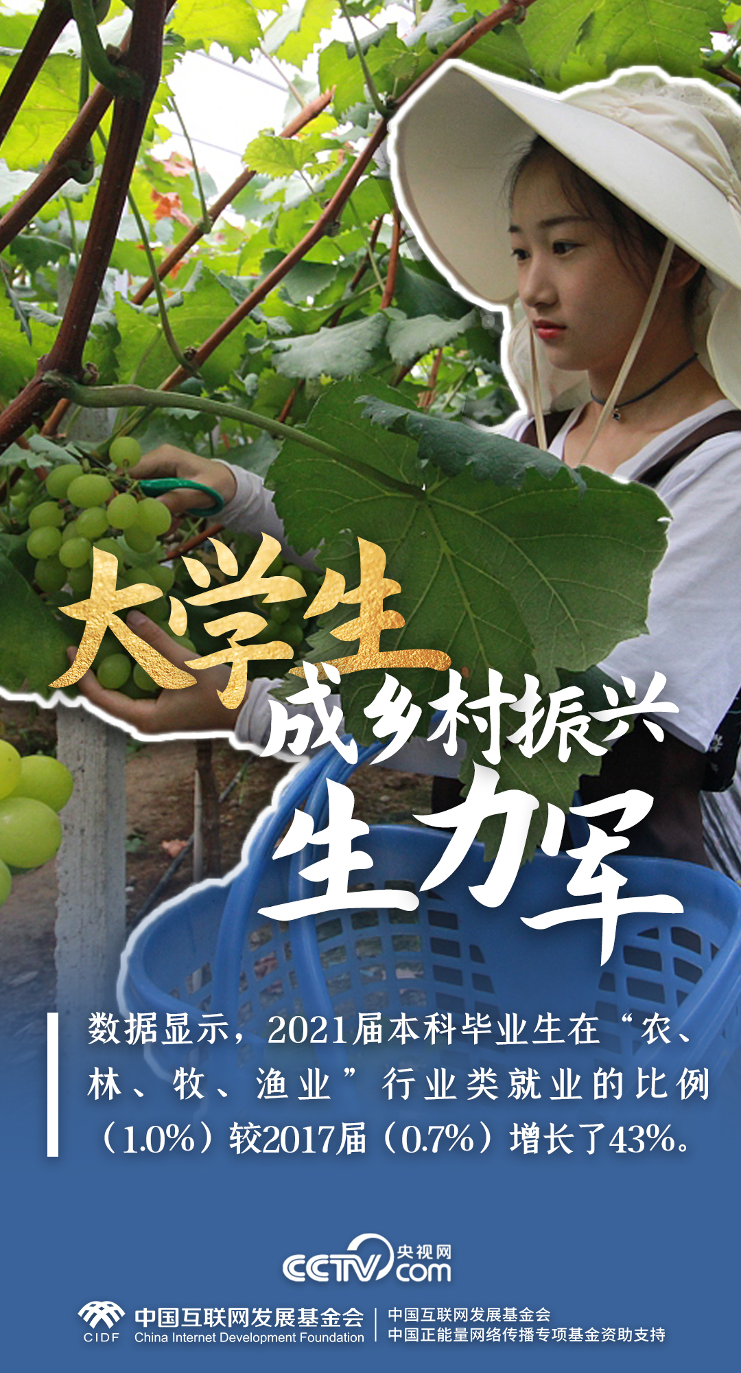 最美新农人|一组数据,解码端稳“中国饭碗”的乡村振兴生力军