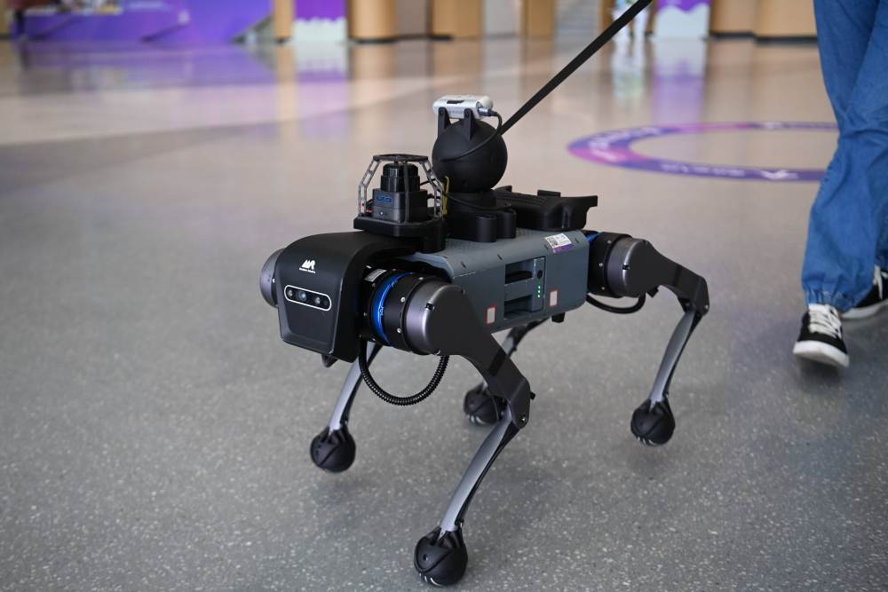 杭州亚残运会|在杭州,有爱无“碍”