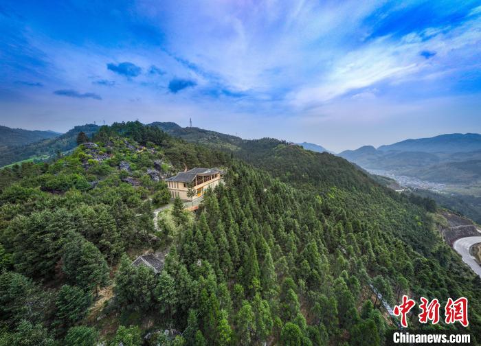 （乡村行·看振兴）福建周宁：经济“高质量”与生态“高颜值”相得益彰