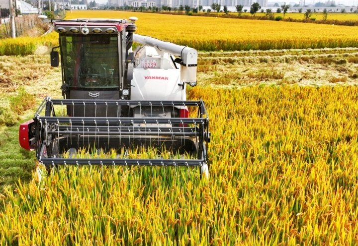 红船观察|乌镇,十年“网事”知多少?