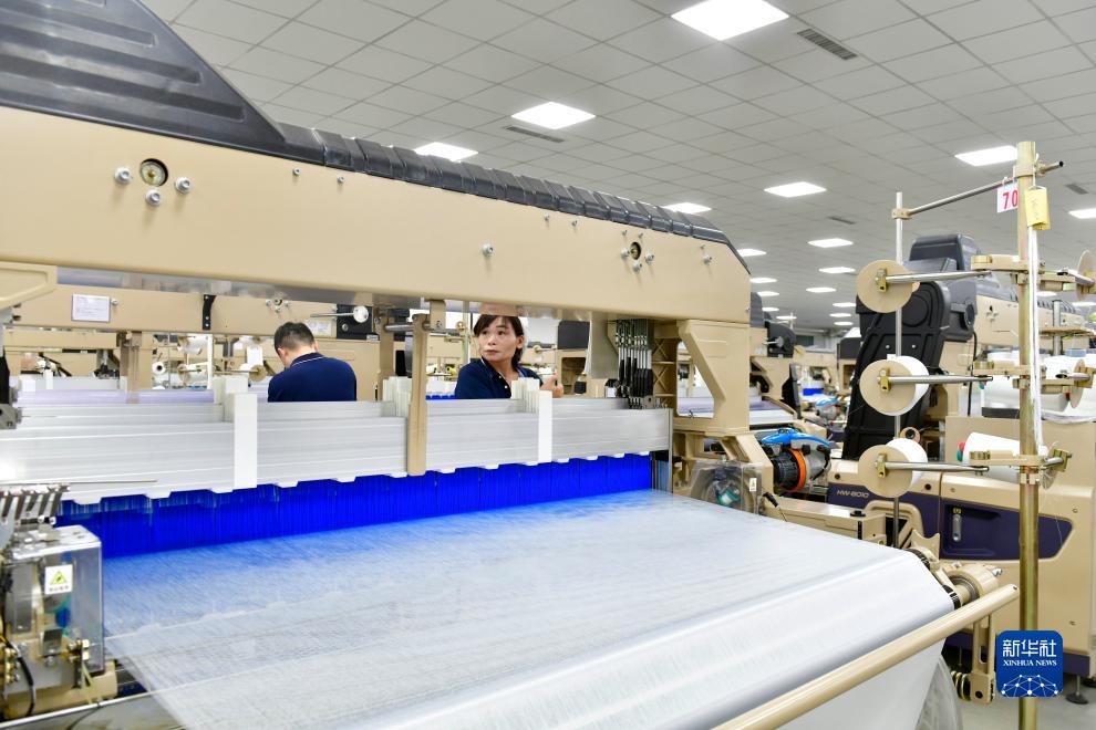 山东定陶：构建特色产业体系助推经济高质量发展