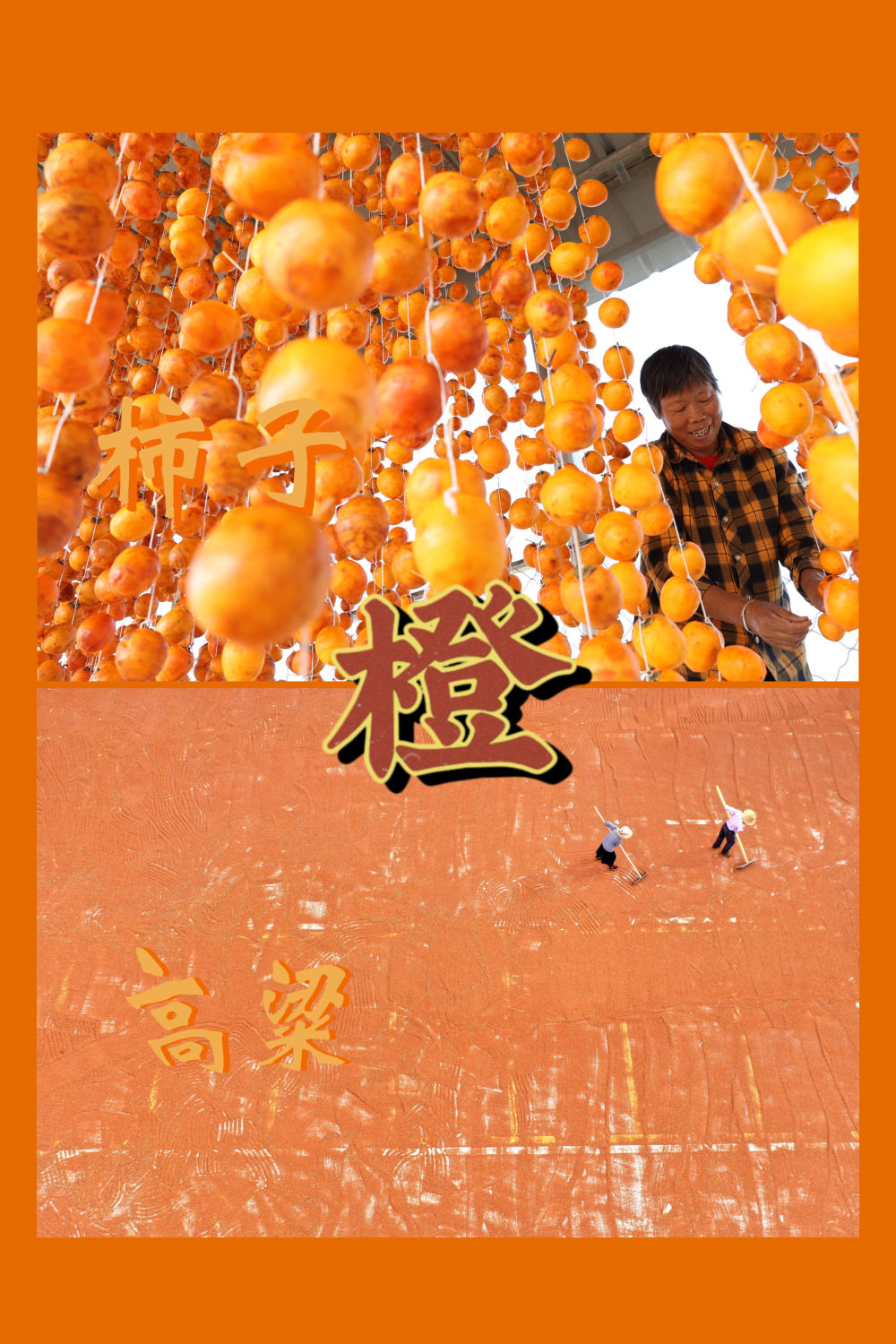 红橙黄绿青蓝紫，一起来看这希望的画卷！