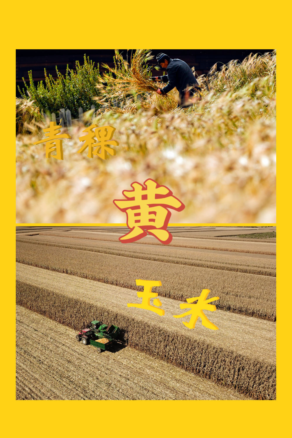 红橙黄绿青蓝紫，一起来看这希望的画卷！