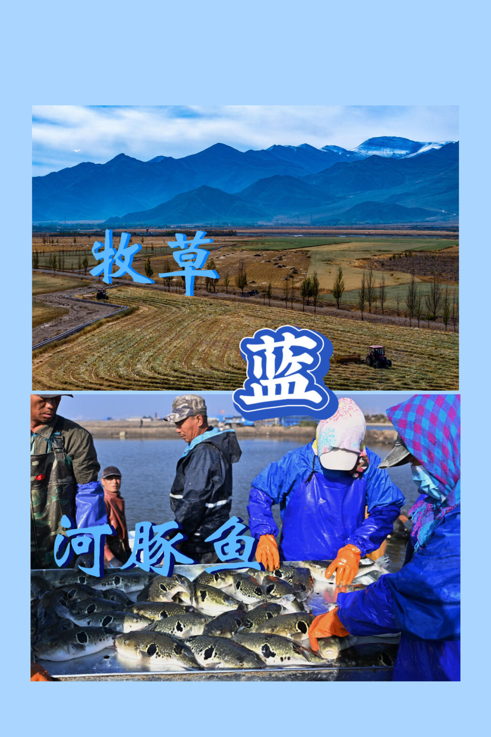 红橙黄绿青蓝紫，一起来看这希望的画卷！