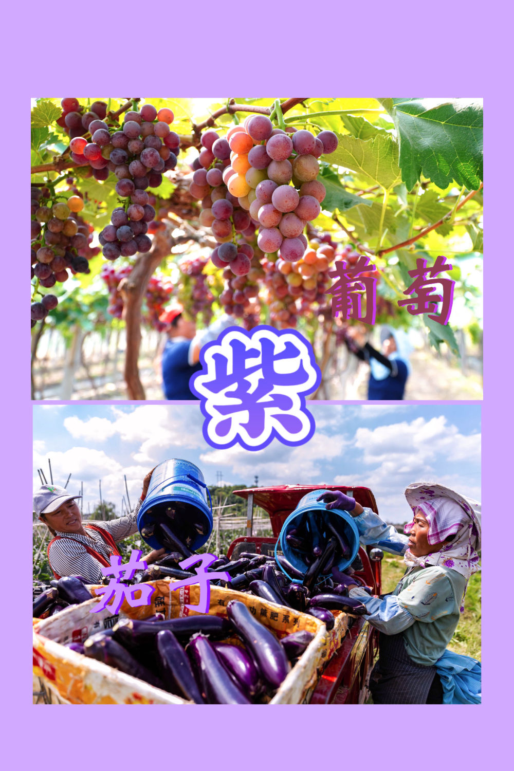 红橙黄绿青蓝紫，一起来看这希望的画卷！