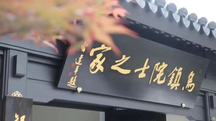 十道“峰”味③｜看桐乡如何打造科技创新“超级引擎”