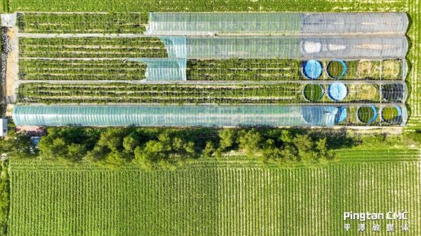 【大国新村：沿着总书记的足迹】福建平潭：大坪村的红色振兴路
