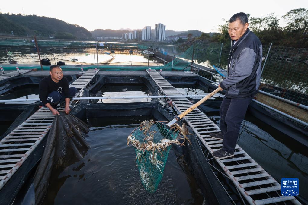 浙江建德：特色种养殖产业助力文旅消费新活力