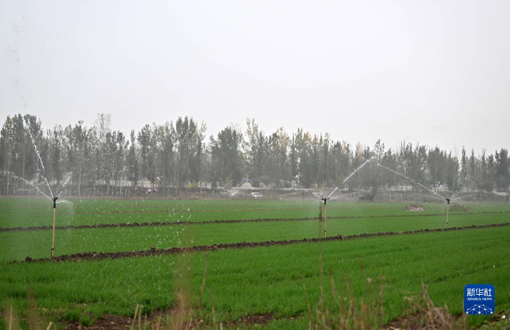 天津：灾后农业生产基本恢复