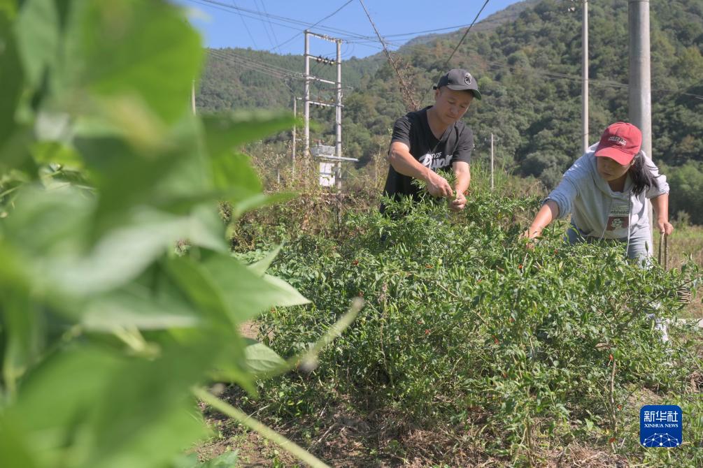 返乡夫妻共同创业 助力乡村振兴