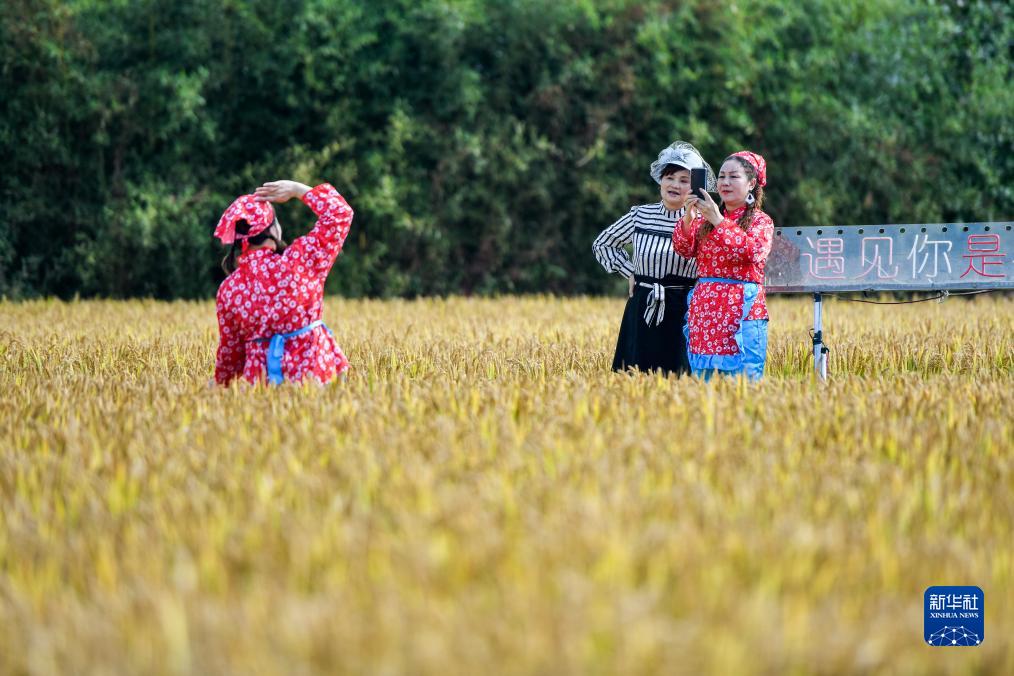 湖北黄梅：农文旅融合助力乡村振兴