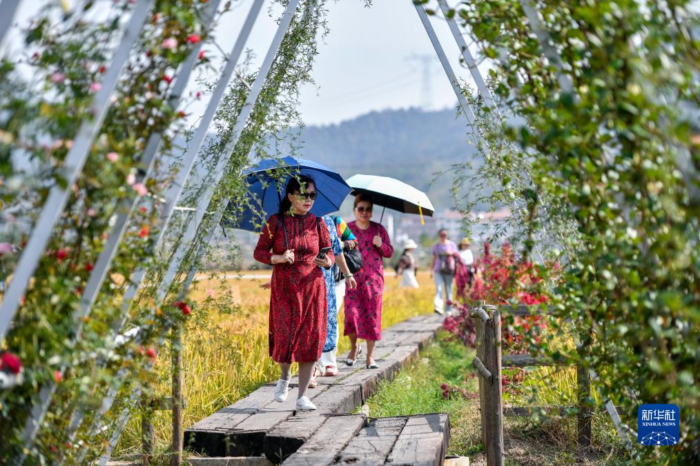湖北黄梅：农文旅融合助力乡村振兴