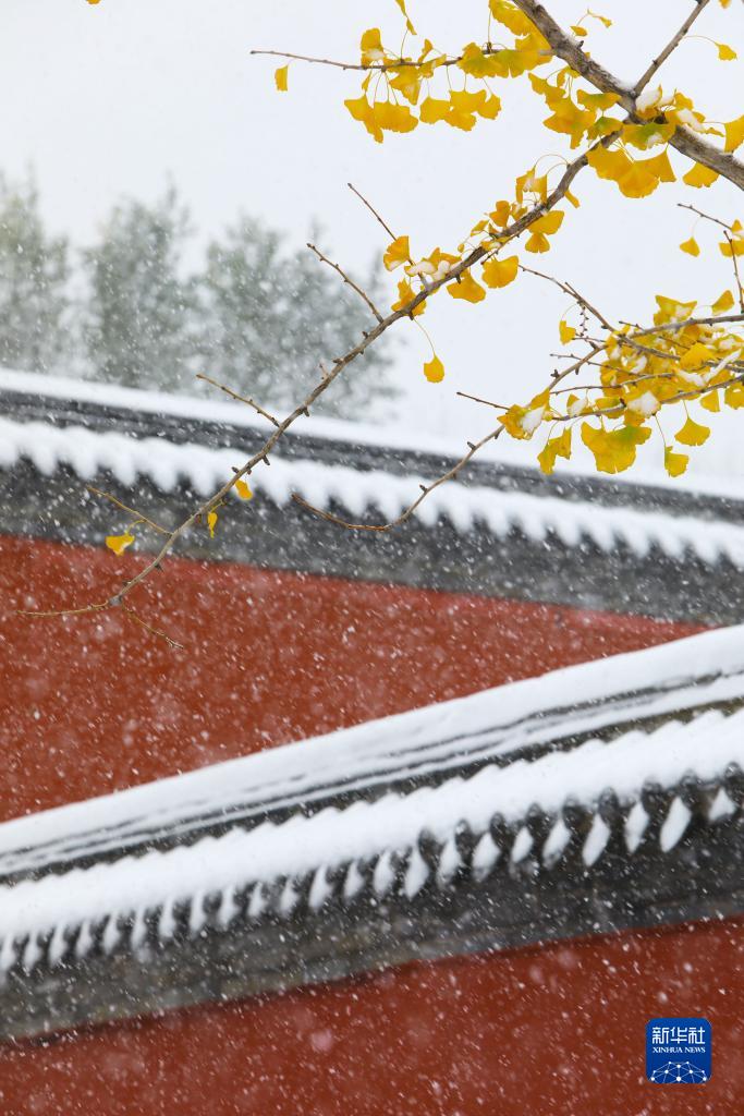 沈阳故宫迎初雪