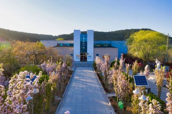 【大国新村：沿着总书记的足迹】河北遵化：走好党建引领乡村振兴之路