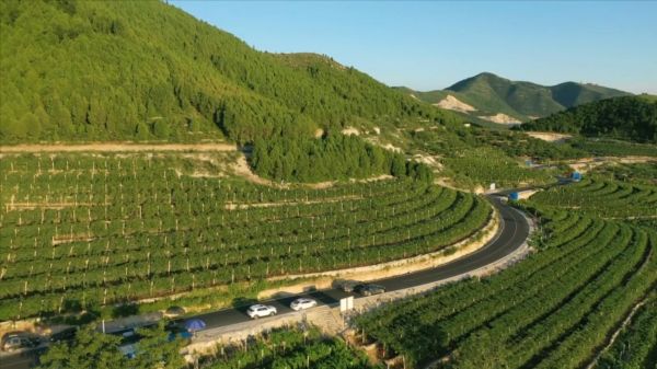 【大国新村：沿着总书记的足迹】河北遵化：走好党建引领乡村振兴之路