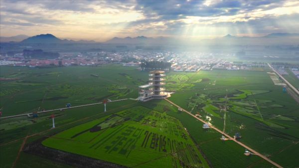 【大国新村：沿着总书记的足迹】河北遵化：走好党建引领乡村振兴之路