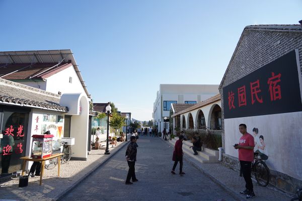 【大国新村：沿着总书记的足迹】河北遵化：走好党建引领乡村振兴之路