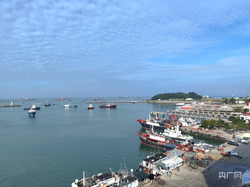 强信心 稳预期 促发展｜阳江：向海扬帆 让海洋经济焕发新光彩