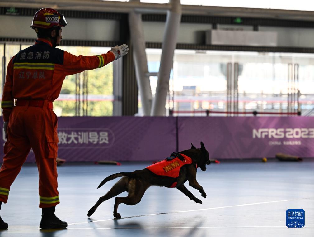 第二届全国消防行业职业技能大赛在南京举行