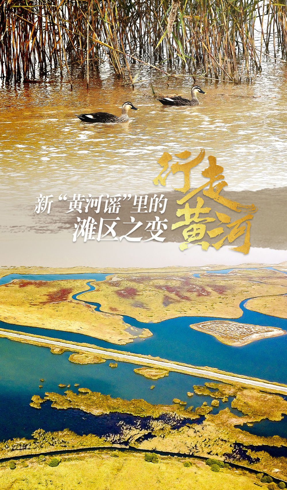 记者手记｜行走黄河