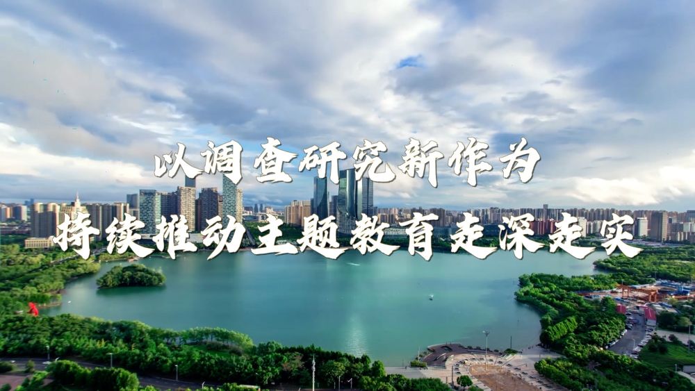 以调查研究新作为持续推动主题教育走深走实