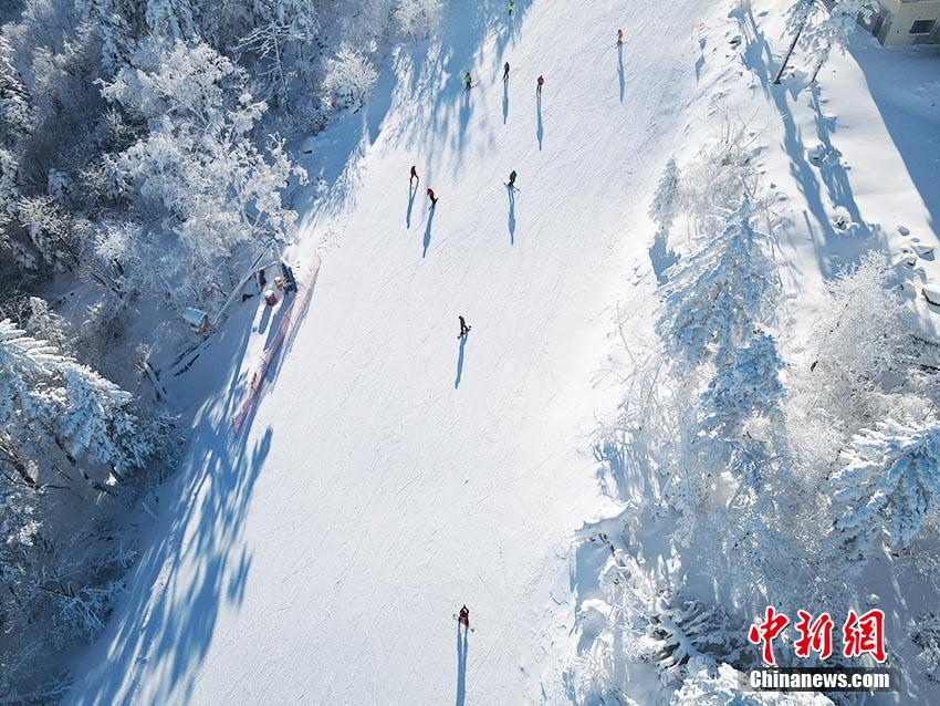 吉林北大湖高山雾凇幻美如画