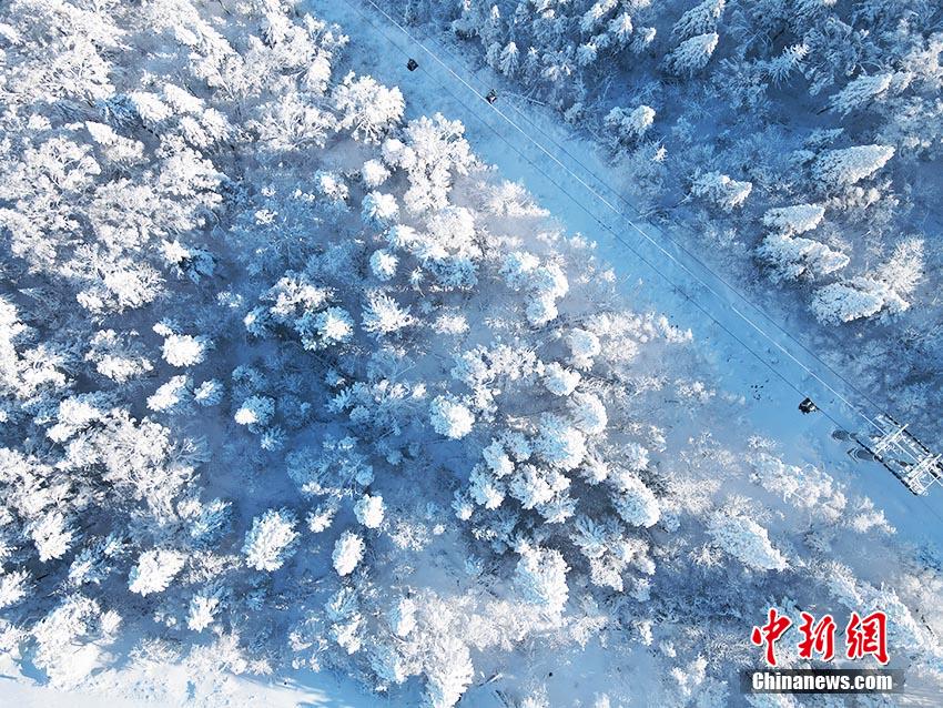 吉林北大湖高山雾凇幻美如画