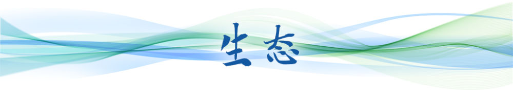 卫星视角丨五年五图看长三角一体化成绩单