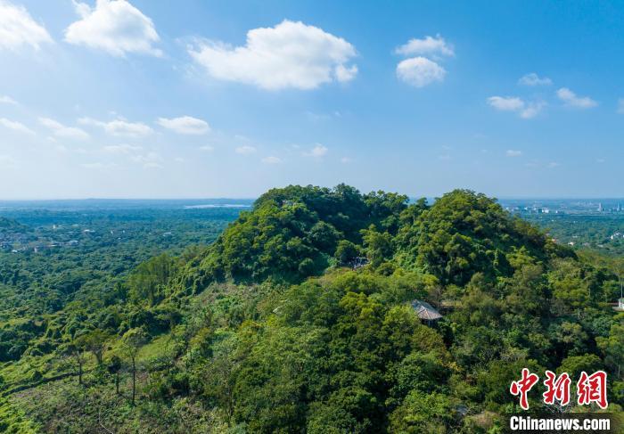江山如画｜椰城海口：厚植生态人文底蕴 让城市“活起来”
