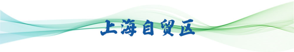 卫星视角看中国｜东西南北中，自贸区改革开放不停步