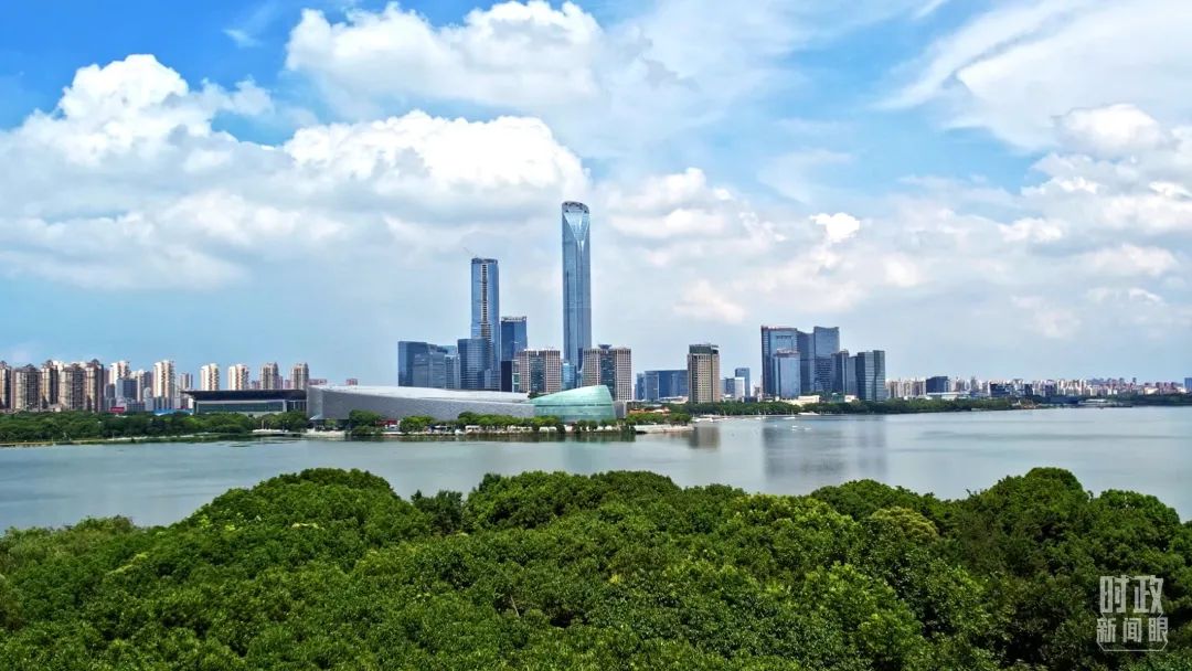 明年中国经济怎么干？这场会议释放重要信号