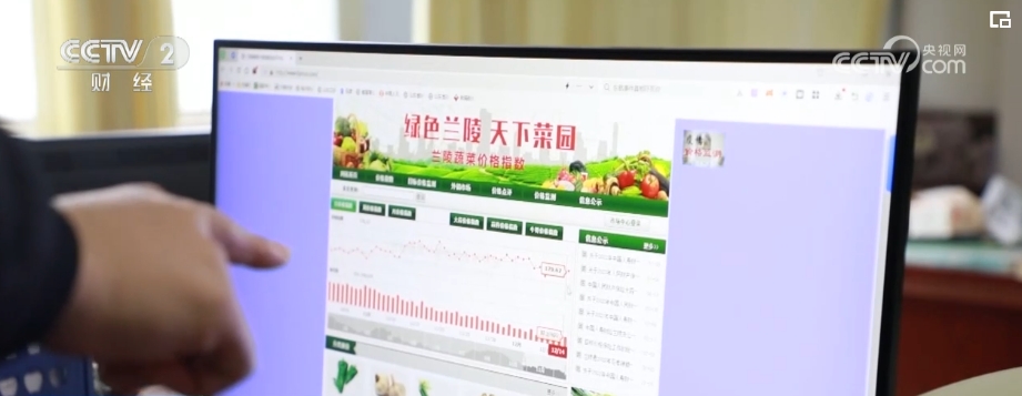 “菜篮天博电竞APP子”价稳货丰 各地增加蔬菜储备量 做好“外运内销”(图5)