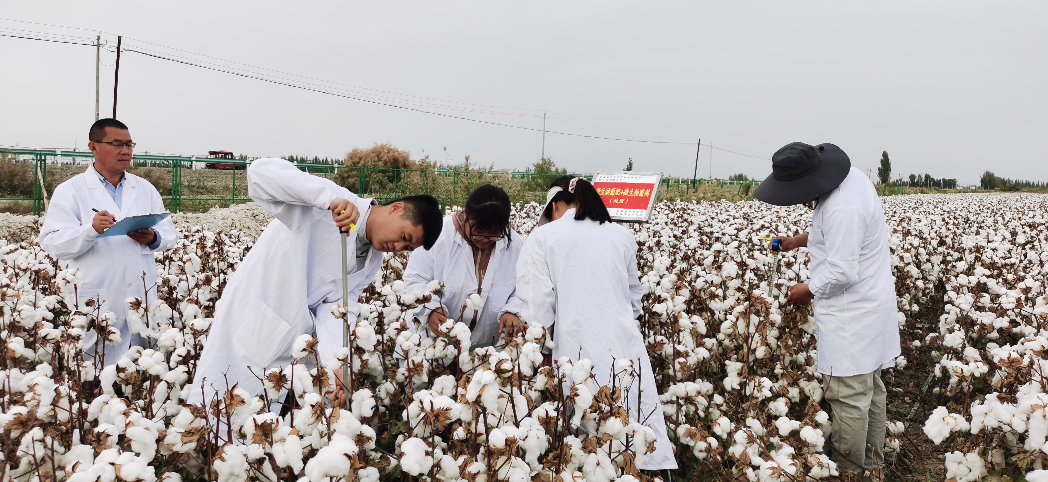 农田变良田 这里有把提质不减产的“钥匙” 农田变良田 这里有把提质不减产的“钥匙”