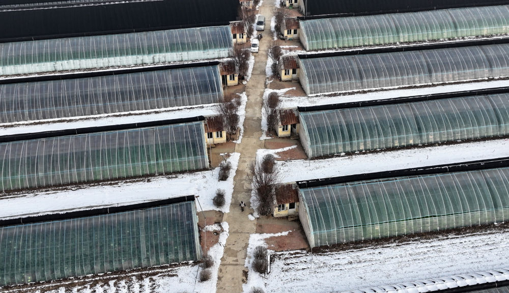 年终报道&middot;2023温暖中国丨受灾群众温暖过冬