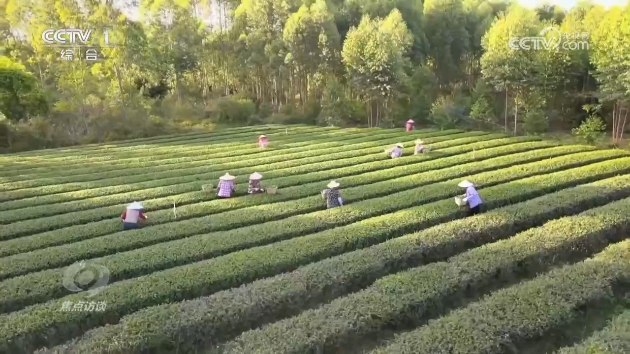 焦点访谈：为了宏伟而朴素的目标