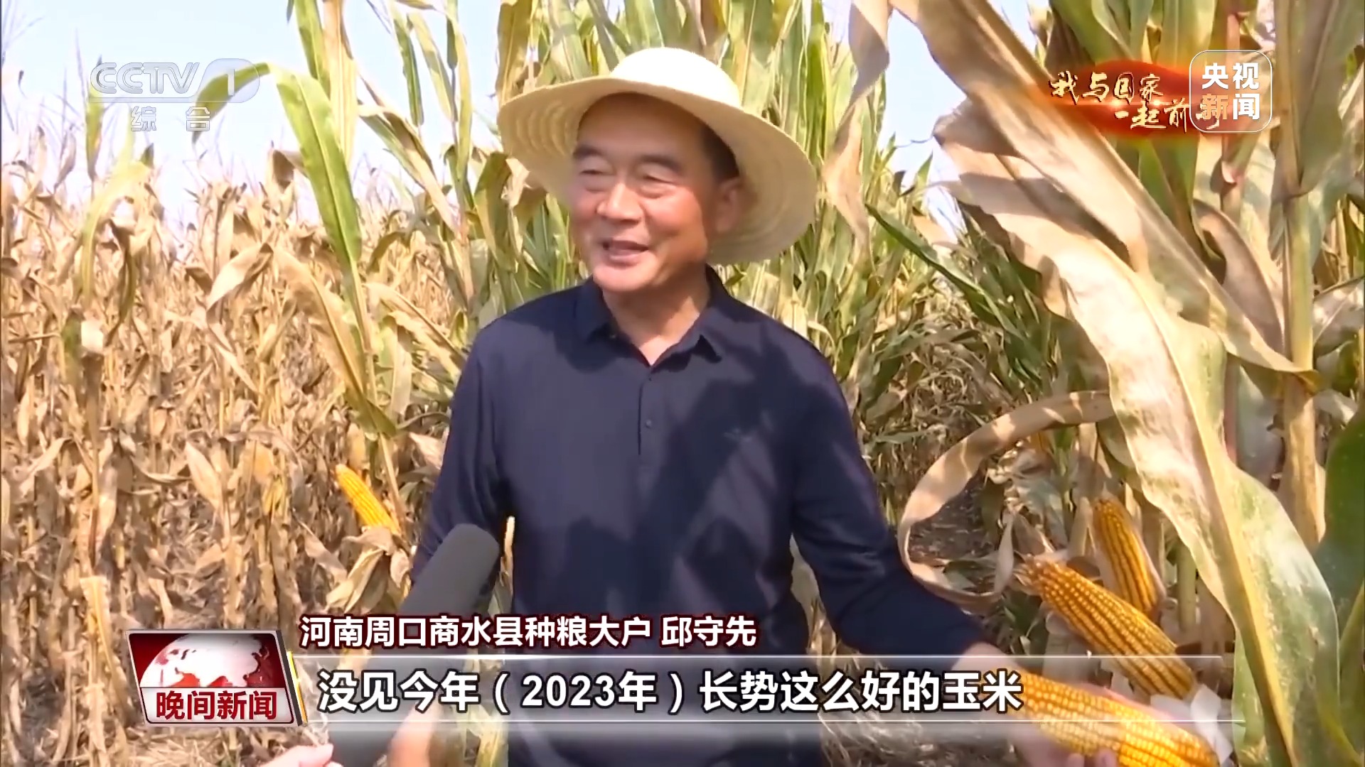 我与国家一起前行丨藏粮于技 丰产丰收的中国“粮”方