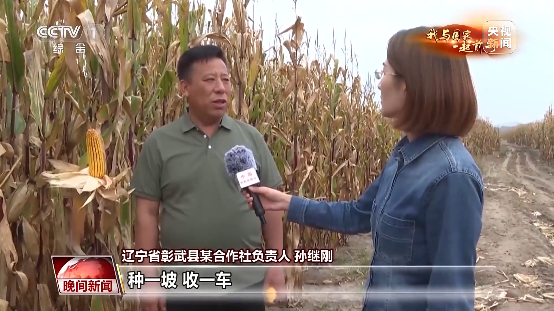 我与国家一起前行丨藏粮于技 丰产丰收的中国“粮”方
