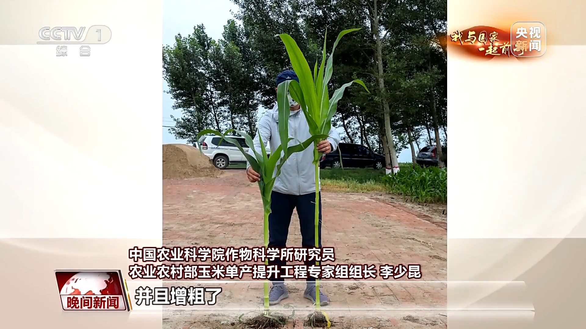 我与国家一起前行丨藏粮于技 丰产丰收的中国“粮”方