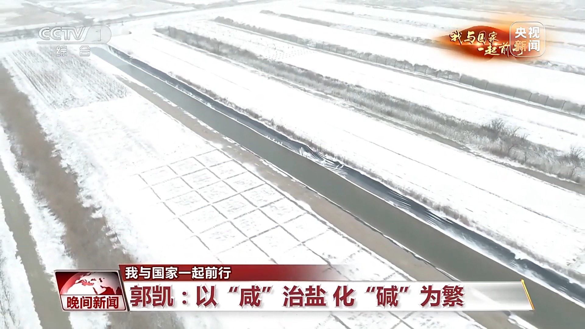 我与国家一起前行丨藏粮于技 丰产丰收的中国“粮”方